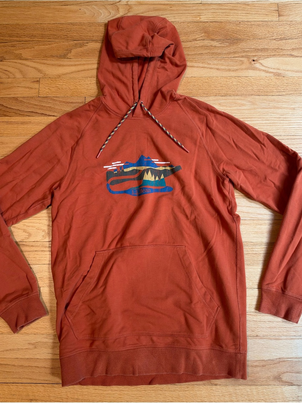 L.L. Bean Rust Hooded Pullover with Multicolor Mountain Graphic M-TALL